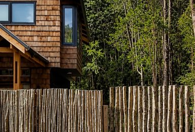 TAD | Departamento Los Bosques